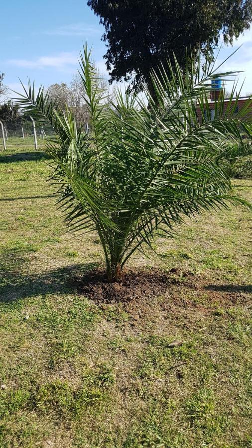 Terrabox Apart De Contenedores Olivera Екстер'єр фото