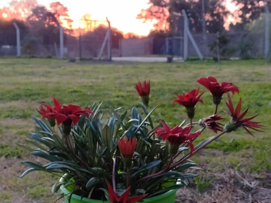 Terrabox Apart De Contenedores Olivera Екстер'єр фото